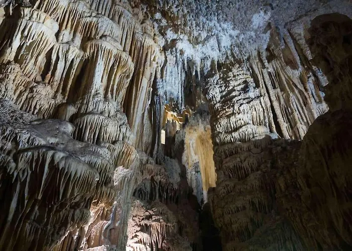 Hébergement de vacances Lou Mazet